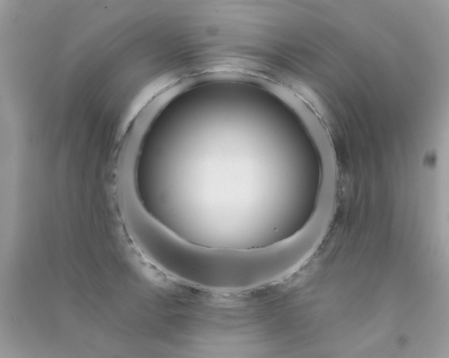 X0000090721138200708171921