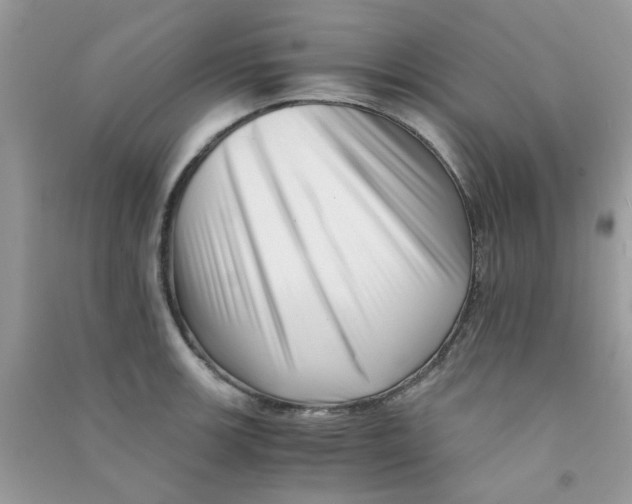 X0000090721139200708171921