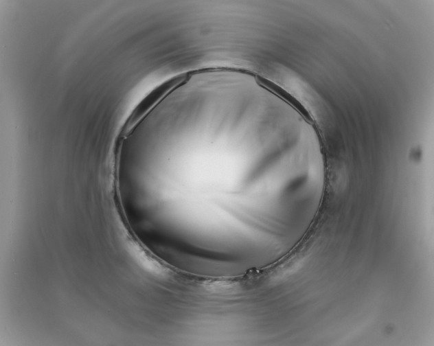 X0000090721140200708171921