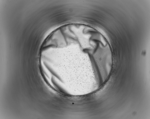 X0000090721141200708171921