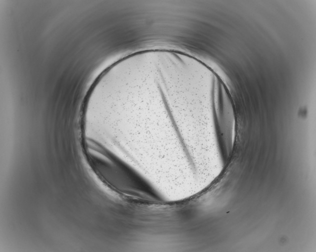 X0000090721142200708171921