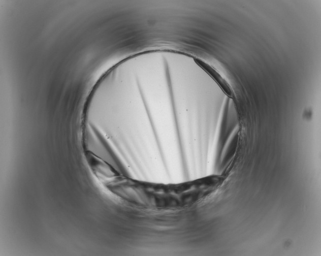 X0000090721143200708171921