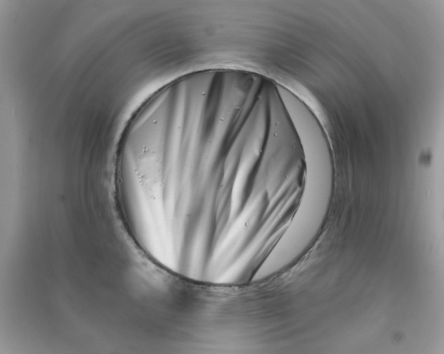 X0000090721144200708171921