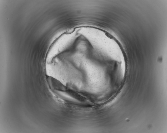 X0000090721145200708171921