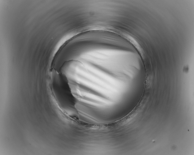 X0000090721146200708171921