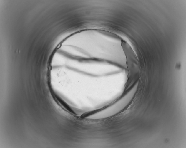 X0000090721147200708171921