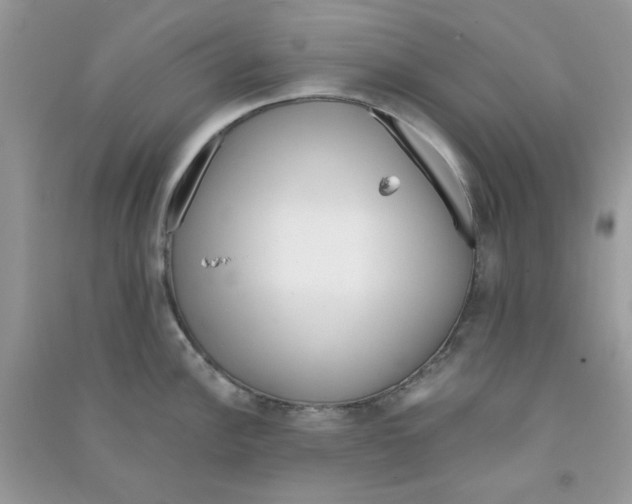 X0000090721148200708171921