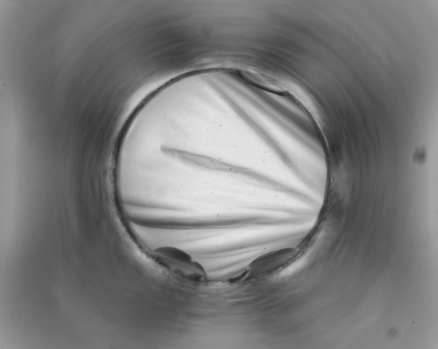 X0000090721149200708171921