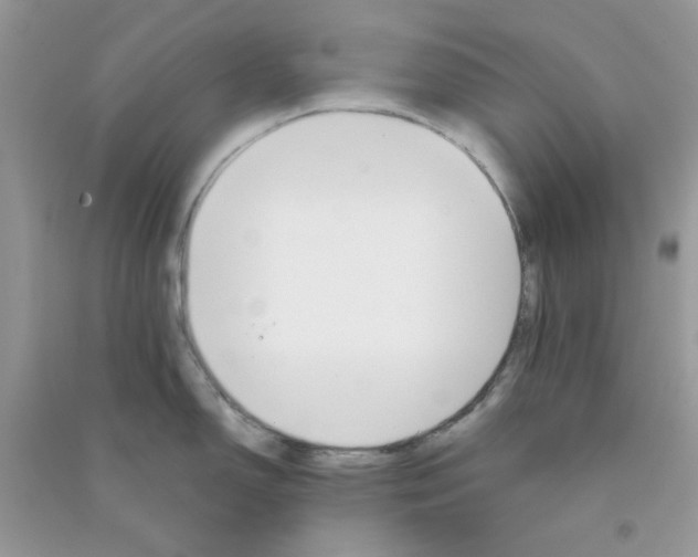 X0000090721150200708171921