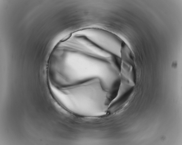 X0000090721151200708171921