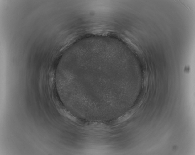 X0000090721154200708171920