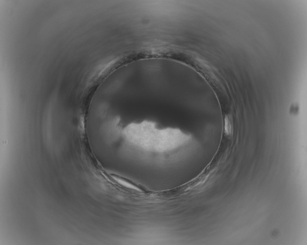 X0000090721155200708171920