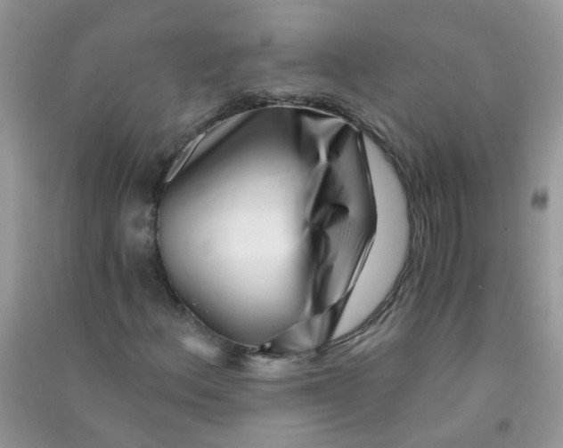 X0000090721156200708171920