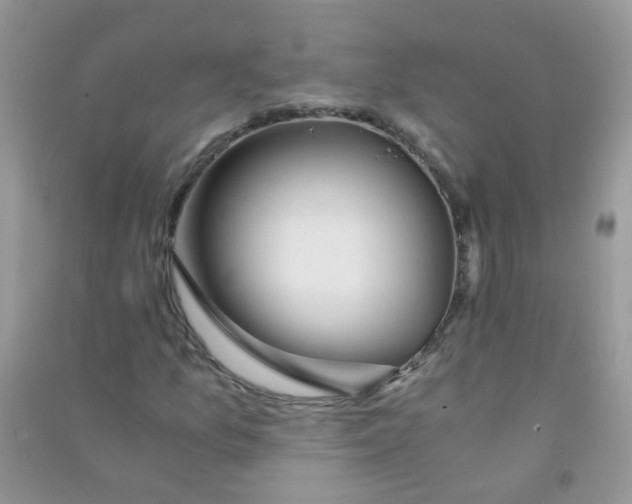 X0000090721157200708171920