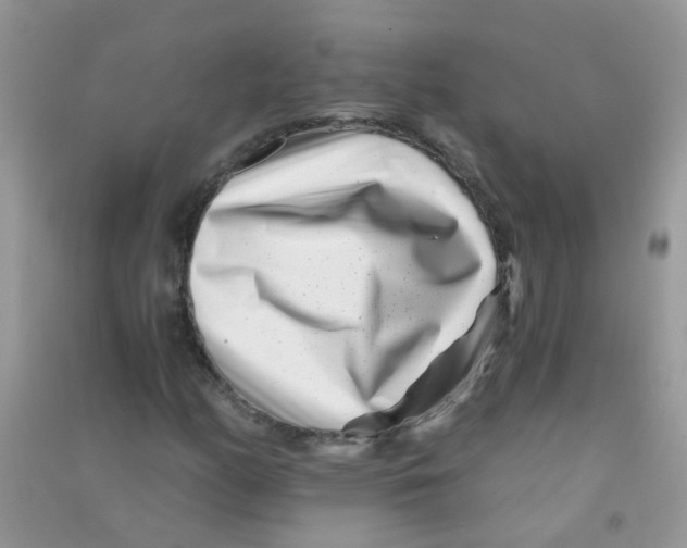 X0000090721158200708171920