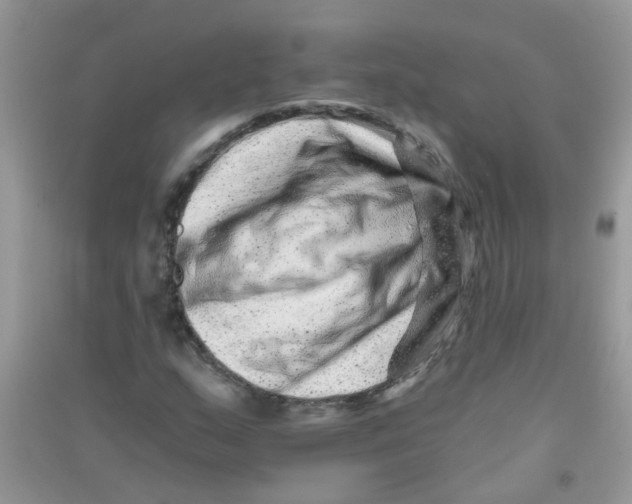 X0000090721159200708171920