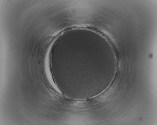 X0000090721161200708171920