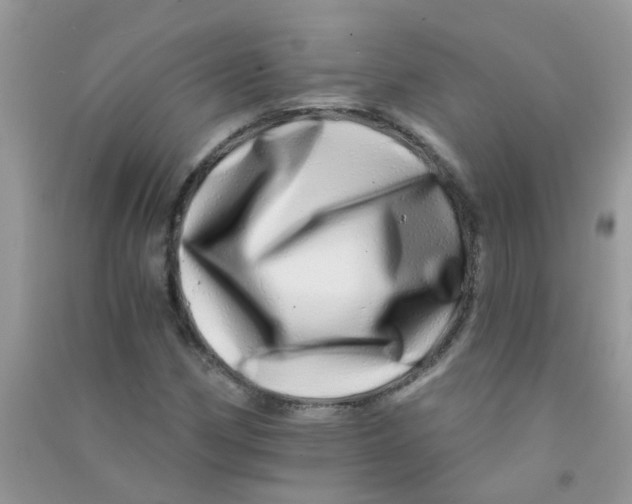 X0000090721162200708171920