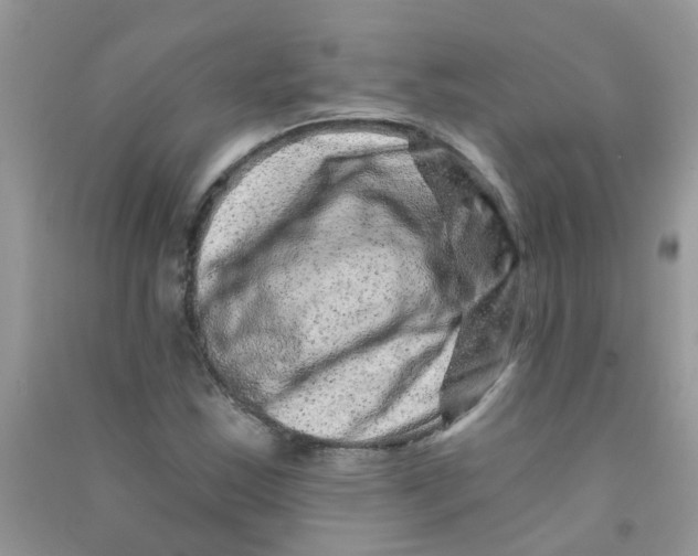 X0000090721163200708171920