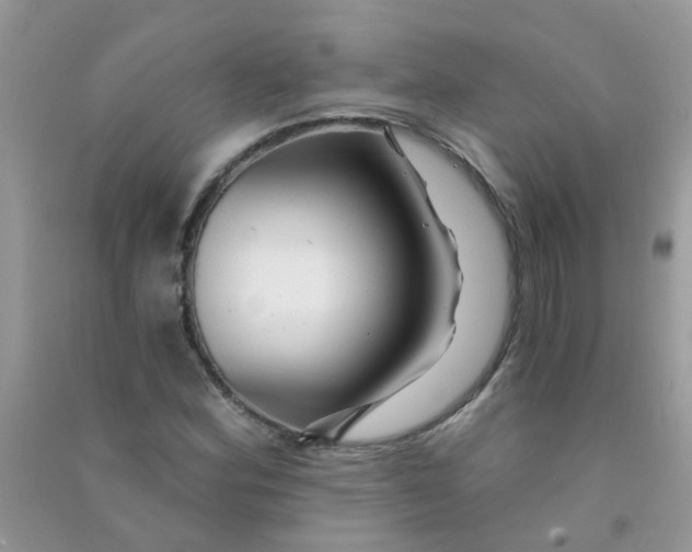 X0000090721164200708171920