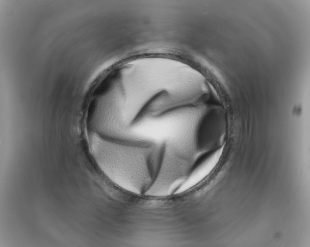 X0000090721166200708171920