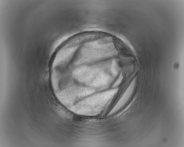 X0000090721167200708171920