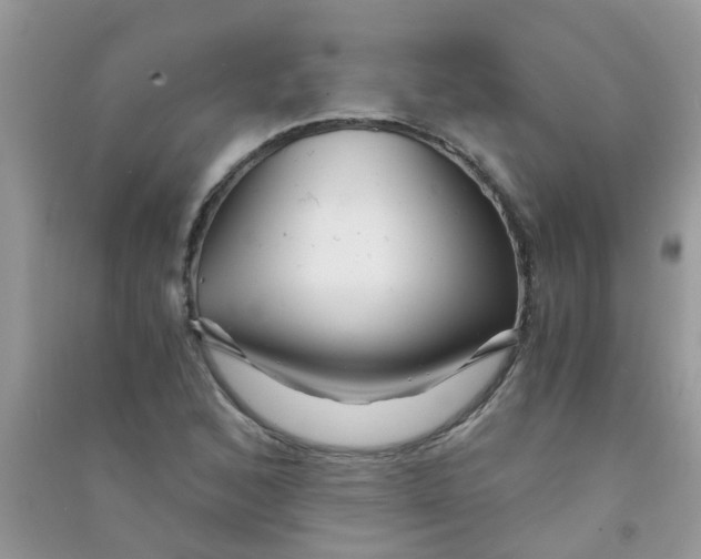 X0000090721168200708171920