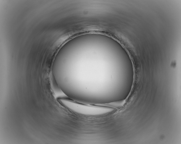 X0000090721169200708171920