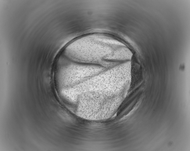 X0000090721170200708171920