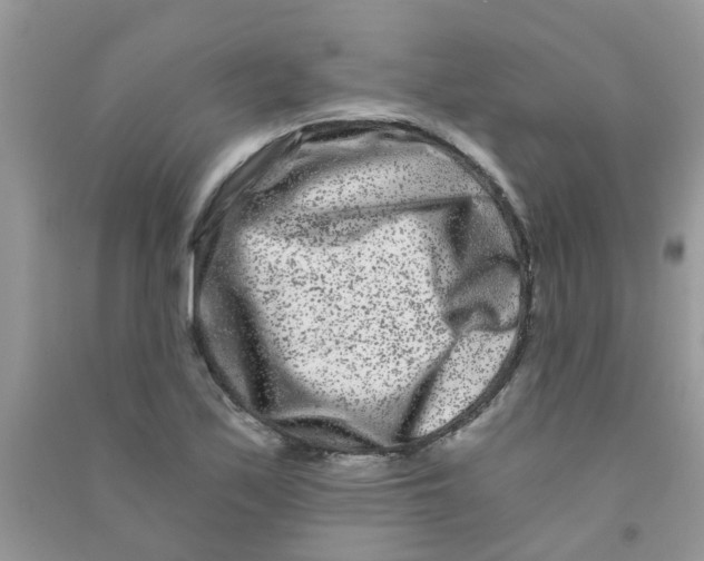 X0000090721171200708171920