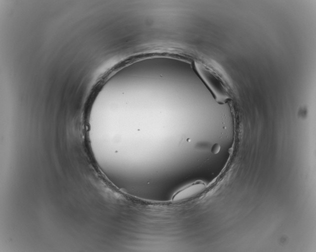 X0000090721172200708171920