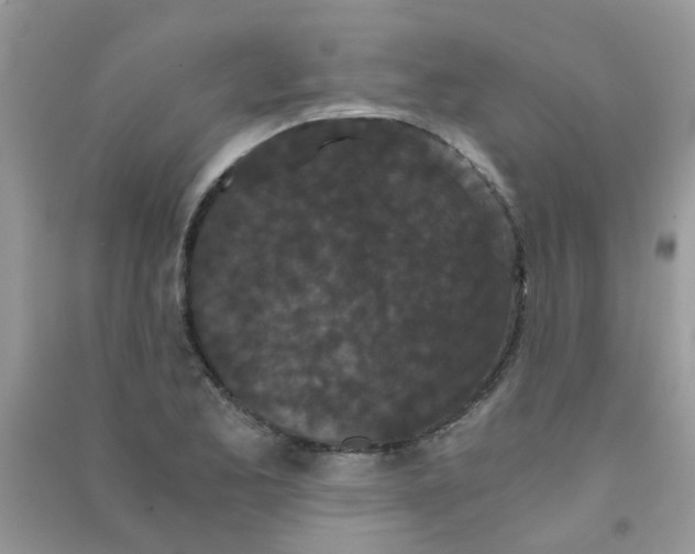 X0000090721173200708171920