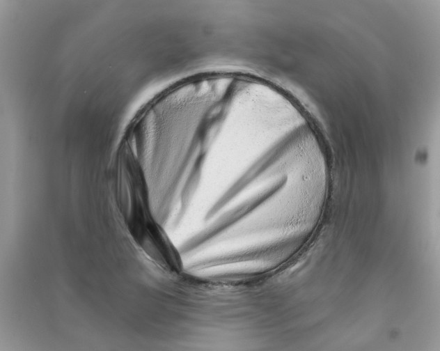 X0000090721175200708171920