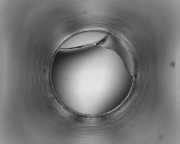 X0000090721177200708171920