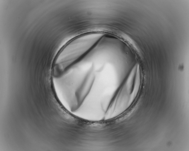 X0000090721178200708171920