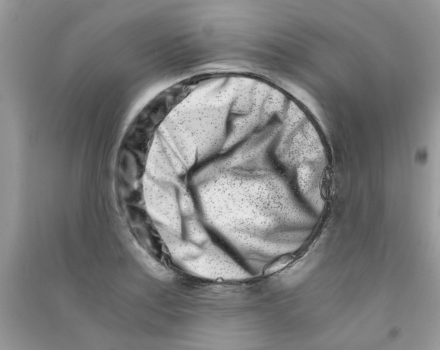 X0000090721179200708171920