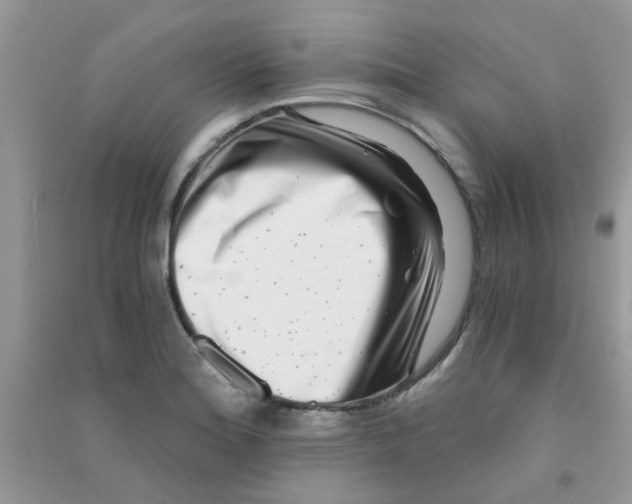 X0000090721180200708171920