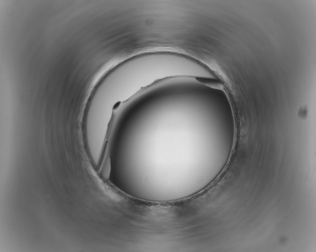 X0000090721181200708171920