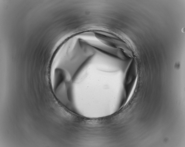 X0000090721182200708171920