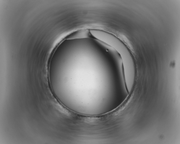 X0000090721184200708171920