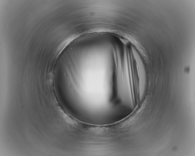 X0000090721185200708171920