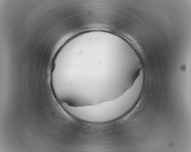 X0000090721188200708171920