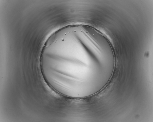 X0000090721189200708171920