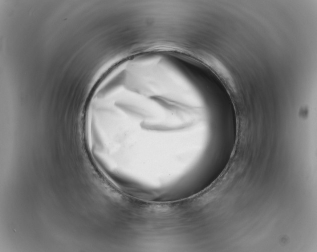 X0000090721190200708171920