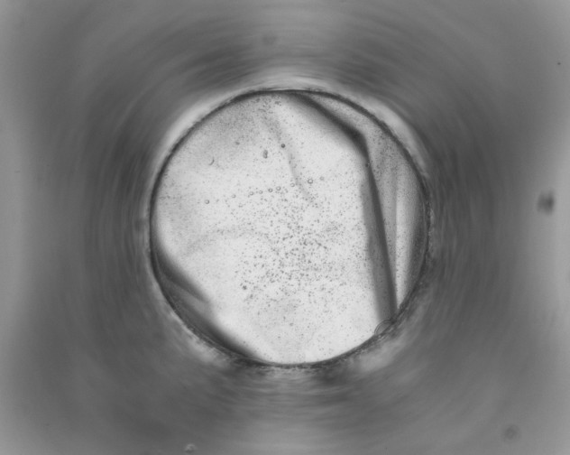 X0000090721191200708171920