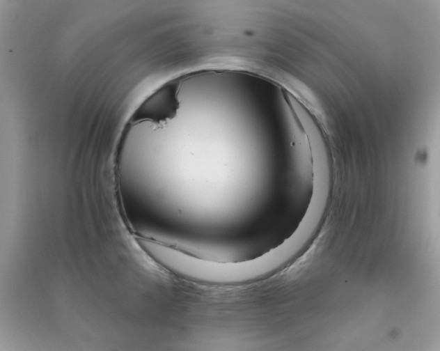 X0000090721192200708171920