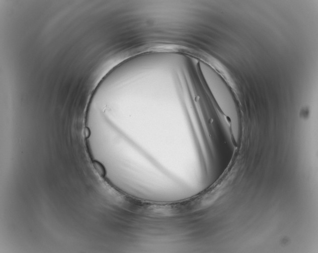 X0000090721194200708171920