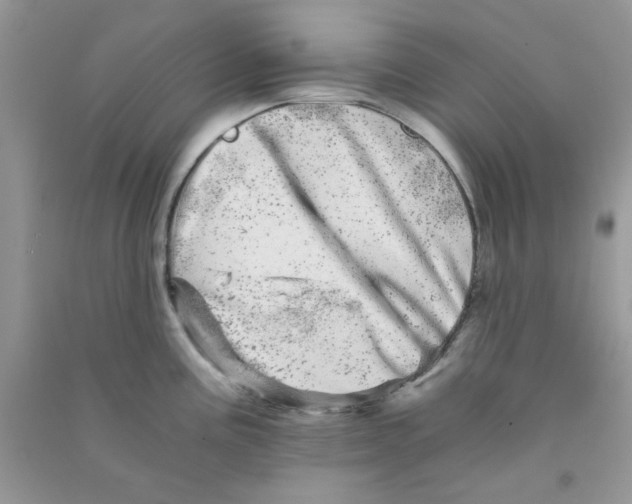 X0000090721195200708171920