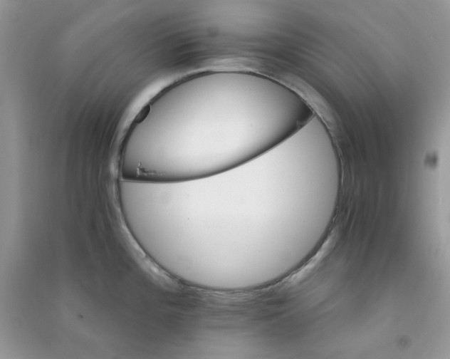 X0000090721196200708171920