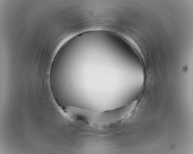 X0000090721197200708171920